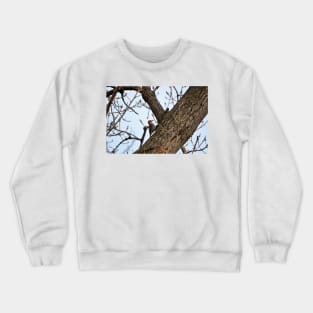 Wood Pecker Crewneck Sweatshirt